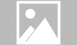 萝卜动漫,描绘青春梦想的彩色画卷