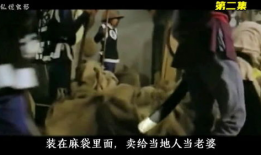 国产风月电影精品,国产电影中的浪漫情怀与时代印记